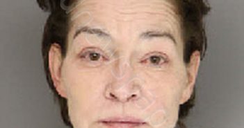 HAYES, JANICE REBECCA | 2023-10-17 05:42:00 Moore County, North Carolina Booking