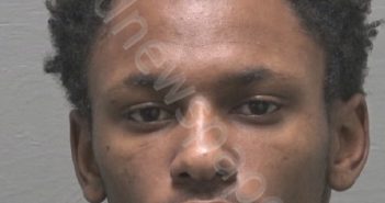 DESCHAMPS, KENLEY LAMONZIE D | 2023-10-19 New Hanover County, North Carolina Booking