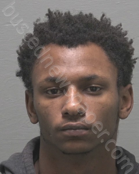 DESCHAMPS, KENLEY LAMONZIE D #, New Hanover County, North Carolina - 2023-10-19