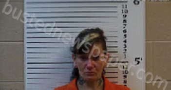 YACKEREN, BRANDY LEE | 2023-10-22 15:39:00 Cherokee County, North Carolina Booking