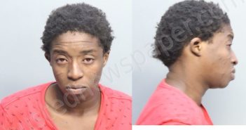 <B>MUSE</B>, <B>KAYYANNIA</B> <B>ALEXUS</B> #, Miami-Dade County, Florida - 2023-10-23 07:15:00