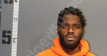 WILSON, DELONTA | 2023-10-23 18:01:00 Western Tidewater, Virginia Booking