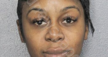 NELSON, <B>BRITTANY</B> ALEXANDRIA #, Broward County, Florida - 2023-10-24