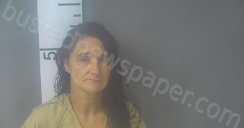 <B>WOOLETT</B>, <B>ROSANNA</B> <B>LEE</B> #, Nelson County, Kentucky - 2023-10-25 12:45:00