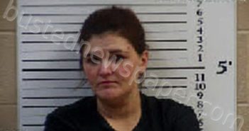 WALKER, JESSICA SHAYE | 2023-10-26 22:59:00 Cherokee County, North Carolina Booking