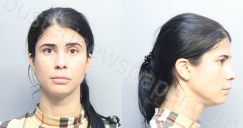 CASTILLO, DILIANA MICHEL | 2023-10-31 11:51:00 Miami-Dade County, Florida Booking
