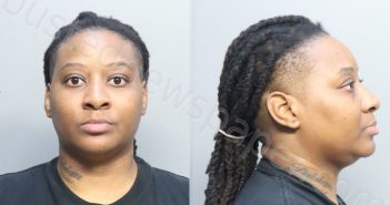 MCKAY, ROQUANDA VERONICA | 2023-10-31 03:42:00 Miami-Dade County, Florida Booking