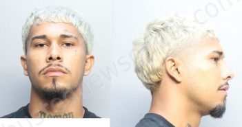 PINTODESOUSA, CARLOS MANUEL | 2023-10-31 12:24:00 Miami-Dade County, Florida Booking