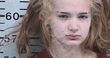 MOLINA, EMILY ELIZABETH | 2023-11-01 14:48:22 Hood County, Texas Booking