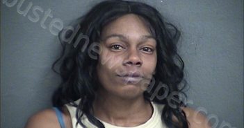 <B>JOHNSON</B>, <B>EBONY</B> <B>NICOLE</B> #, Wyandotte County, Kansas - 2023-11-01