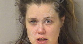 RANDALL, BREANNA MICHELLE | 2023-11-01 03:50:00 Doddridge County, West Virginia Booking