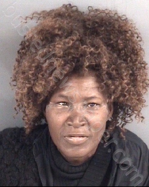 MULLINGS, LISA ANN #, Cumberland County, North Carolina - 2023-11-01