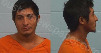 <B>HERNANDEZ</B> FIGUEROA, <B>HECTOR</B> #, Williamson County, Texas - 2023-11-02