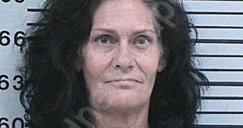 DAVIS, KARI LYNN | 2023-11-03 13:34:03 Hood County, Texas Booking