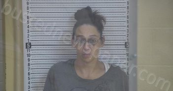 CRUM, CRISTINA DAWN | 2023-11-03 04:25:00 Taylor County, Kentucky Booking