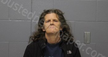 ADKINS, DONNA K | 2023-11-03 20:04:00 Cooper County, Missouri Booking