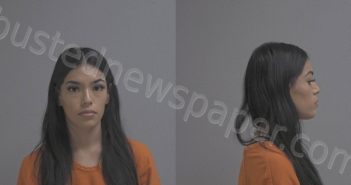 QUEVEDO, BRENDA ITZEL | 2023-11-04 Hidalgo County, Texas Booking