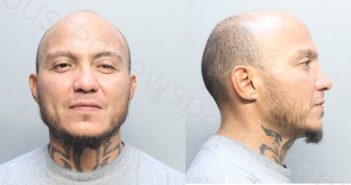 TORRESCENTENO, MILTON GABRIEL | 2023-11-05 11:25:00 Miami-Dade County, Florida Booking