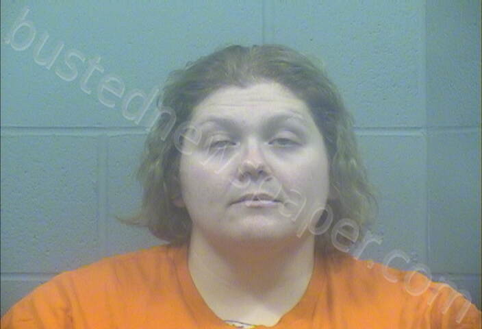 BROWN, KRYSTAL LYNN #, Harvey County, Kansas - 2023-11-06