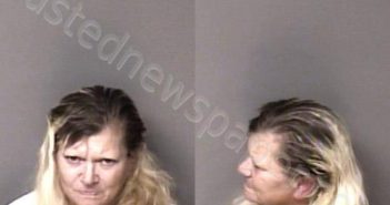TORRES, <B>MELISSA</B> <B>WALTERS</B> #, Gaston County, North Carolina - 2023-11-07 01:48:00