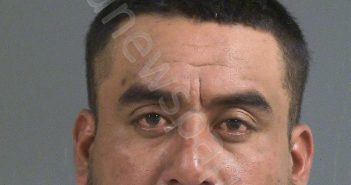 MENESES, JONATHAN ARTHUR | 2023-11-07 12:24:00 Charleston County, South Carolina Booking
