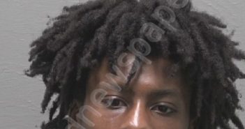 RICHARDSON, TERRYON ELIJAH | 2023-11-07 New Hanover County, North Carolina Booking