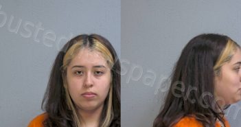 RAMIREZ, VALERIA | 2023-11-08 Hidalgo County, Texas Booking