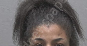 ELEAZER, HALIMA HASNA S | 2023-11-08 New Hanover County, North Carolina Booking