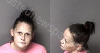 <B>WELCH</B>, <B>KERRI</B> <B>MARIE</B> #, Gaston County, North Carolina - 2023-11-08 22:53:00