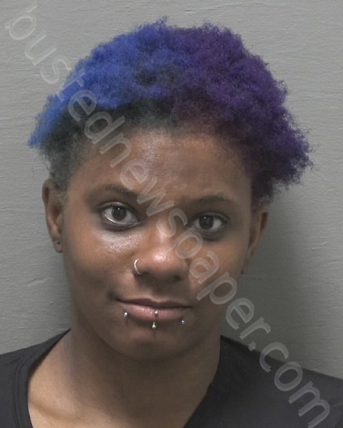 HICKS, SHAMEKA NICOLE #, New Hanover County, North Carolina - 2023-11-09