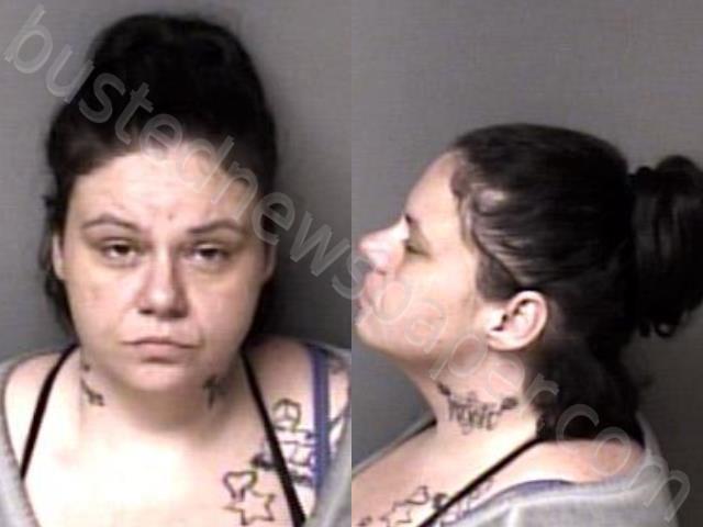 MIXON, TIFFANY ANN #, Gaston County, North Carolina - 2023-11-09 13:38:00