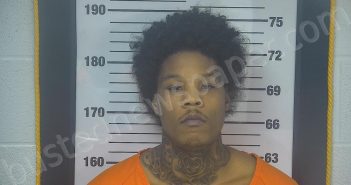 YOUNG, TY’RELL E | 2023-11-09 21:19:00 Ottawa County, Ohio Booking