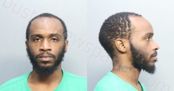 <B>YOUNG</B>, DEAN <B>NATHAN</B> #, Miami-Dade County, Florida - 2023-11-09 16:16:00