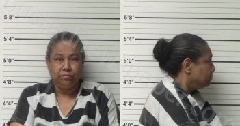 RAMIREZ, ESTELLA CASTILLO | 2023-11-09 Kerr County, Texas Booking