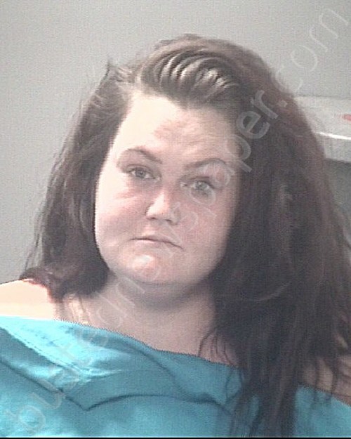 FRIEDRICH, ANGELICA MARIE #, Pasco County, Florida - 2023-11-10 02:00:00