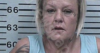 MURRELL, MISTY LYNN | 2023-11-10 20:44:45 Hood County, Texas Booking