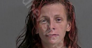 RICHARDSON, ASHLEE D | 2023-11-11 Sandusky County, Ohio Booking