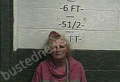 SULLIVAN, ANGELA FAYE #, Whitley County, Kentucky - 2023-11-11 11:10:00