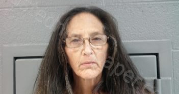 MAYLE, MICHELLE LYNN | 2023-11-11 05:25:00 Taylor County, West Virginia Booking