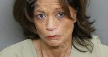 <B>MCCLEARY</B>, <B>DAWN</B> <B>MARIE</B> #, Charlotte County, Florida - 2023-11-12 13:36:00
