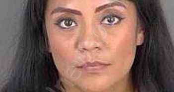 RUIZGOMEZ,AMALIA | 2023-11-12 Collier County, Florida Booking
