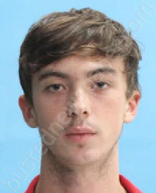 WILLIAMS, TREVOR GAGE #, Desoto County, Florida - 2023-11-13 15:07:00