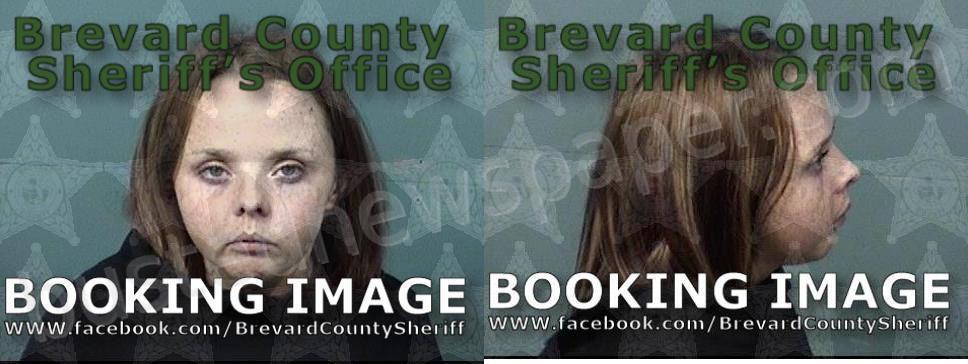 MORAN, TESSA DENAY #, Brevard County, Florida - 2023-11-13 19:29:00