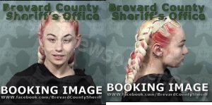 EDWARDS, HALEY MARIE COMET | 2023-11-13 15:12:00 Brevard County, Florida Booking