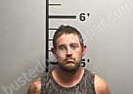 <B>WHITE</B>, <B>BRANDON</B> <B>MICHAEL</B> #, Benton County, Arkansas - 2023-11-13