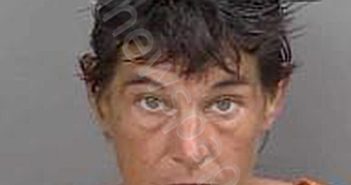 HOVIS,TRESA LYNNETTE | 2023-11-14 Collier County, Florida Booking