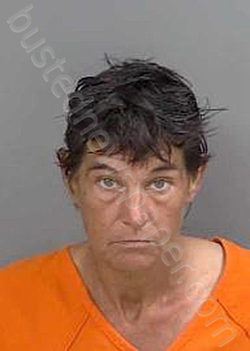 HOVIS,TRESA LYNNETTE #, Collier County, Florida - 2023-11-14
