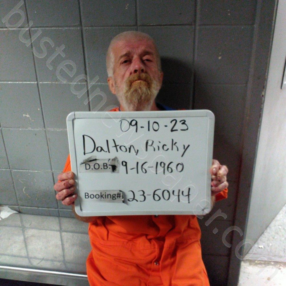 DALTON, RICKEY GEORGINA #, Sebastian County, Arkansas - 2023-11-14 08:22:00