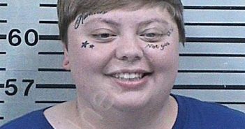 WILLIS, TAYLOR CARMELLA | 2023-11-14 15:59:06 Hood County, Texas Booking