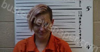 LEMON, LINDSEY ANN | 2023-11-14 23:05:00 Cherokee County, North Carolina Booking